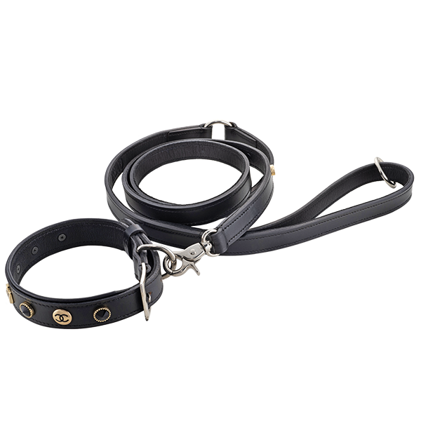 Concha Basic Leather Leashes