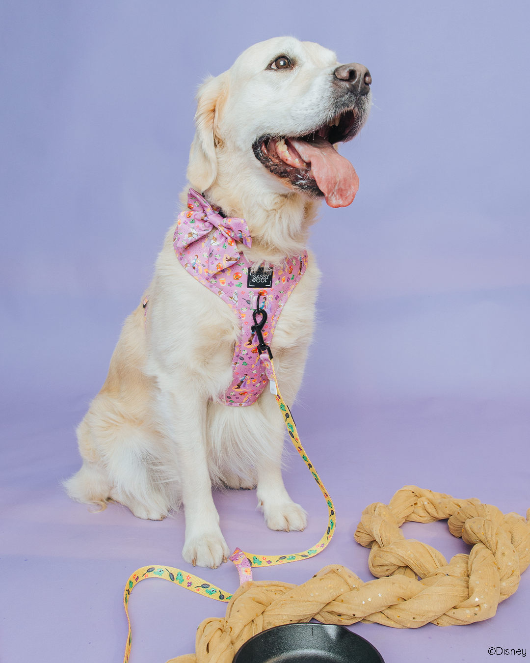 Harness Three Piece Bundle - Disney's Rapunzel