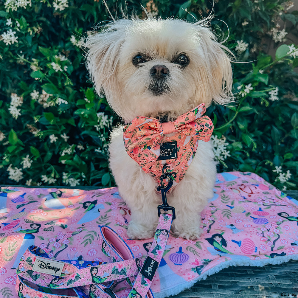 Dog Two Piece Bundle - Disney's Mulan