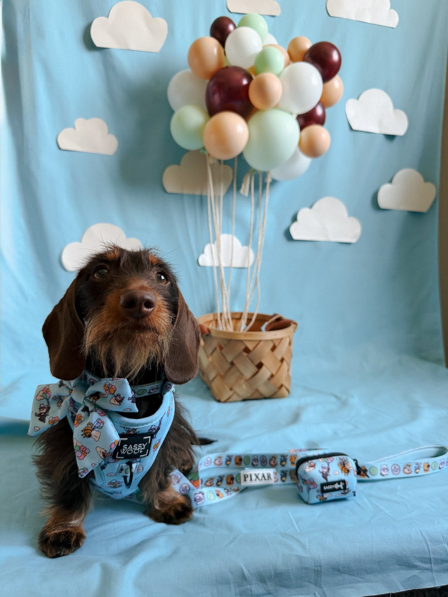 Dog Waste Bag Holder - Disney and Pixar's Up