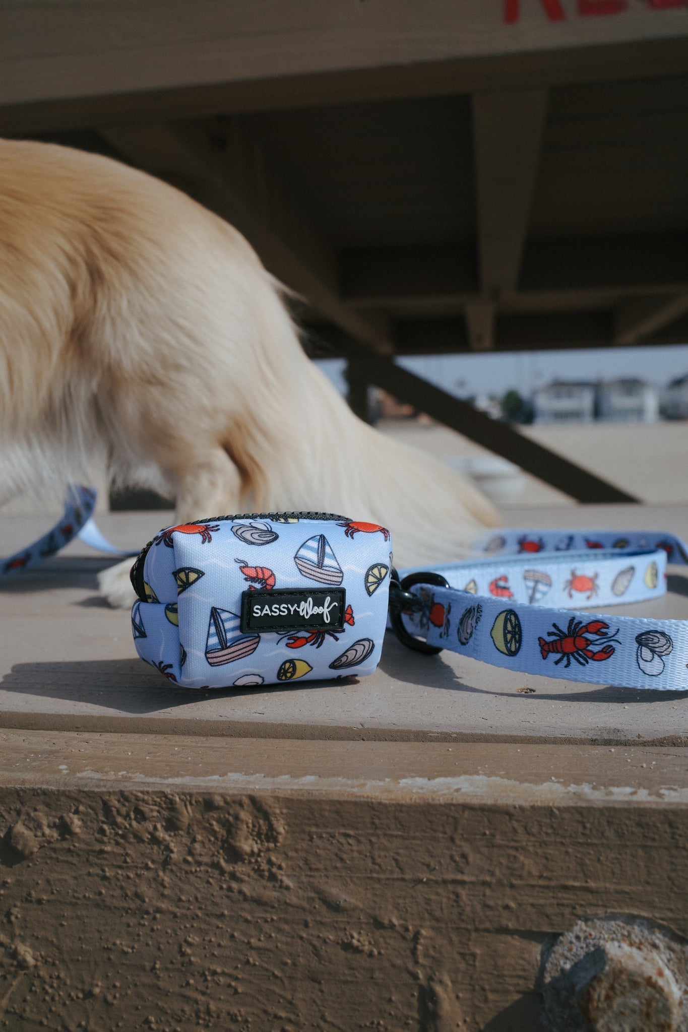 Dog Leash - Coastal Cuties