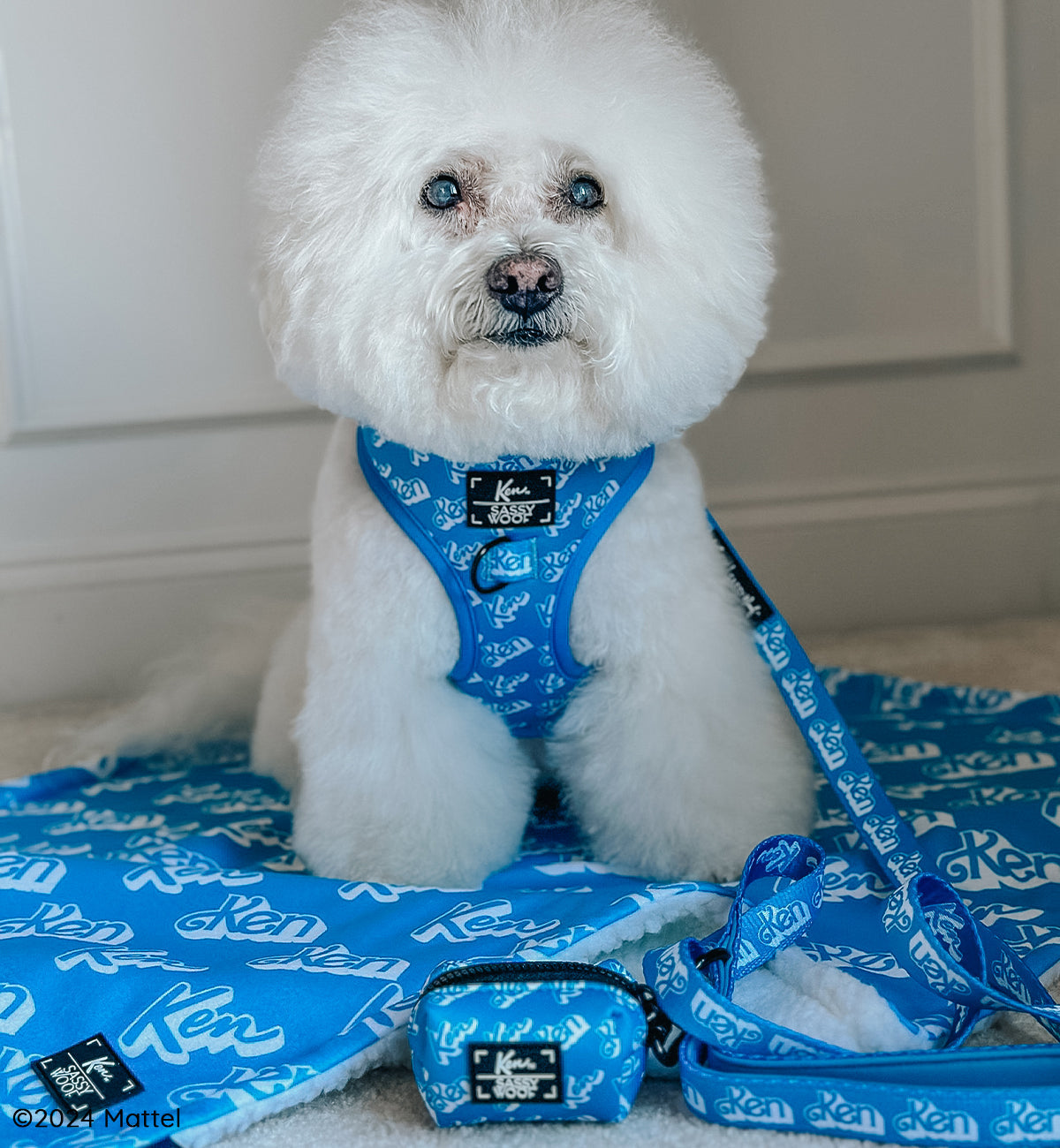 Dog Four Piece Bundle - KEN™