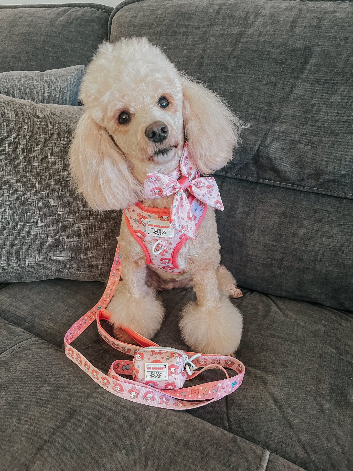 Dog Collar Three Piece Bundle - My Melody™