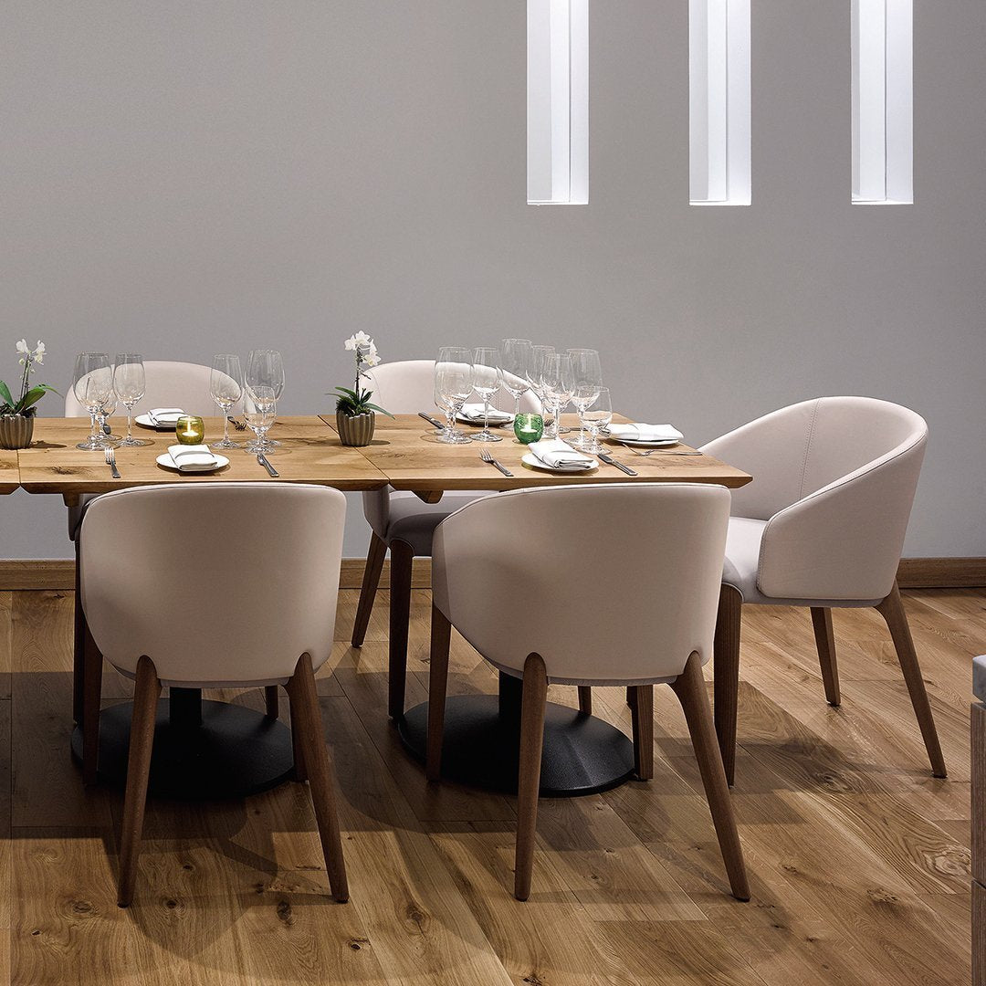 Bellevue 02 Dining Armchair - Ash Frame