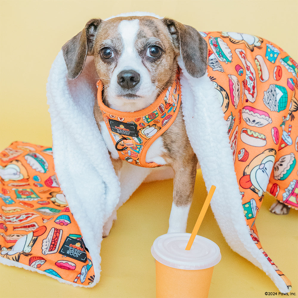 Dog Two Piece Bundle - Garfield™