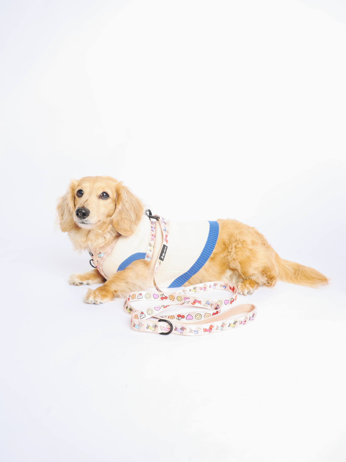 Dog Leash - Sunbean