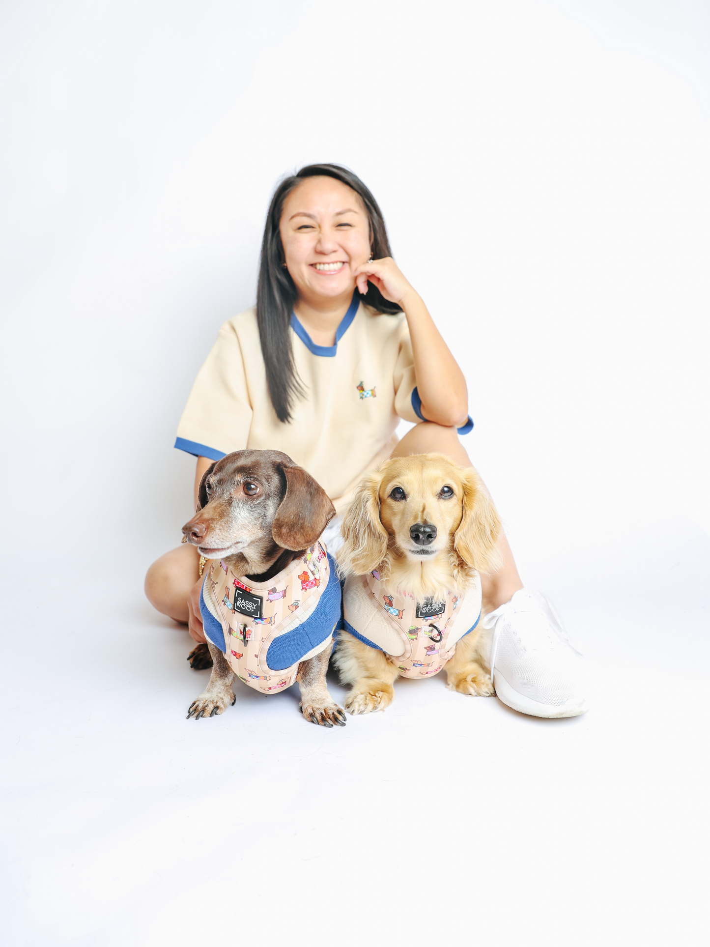 Dog Adjustable Harness - Sunbean