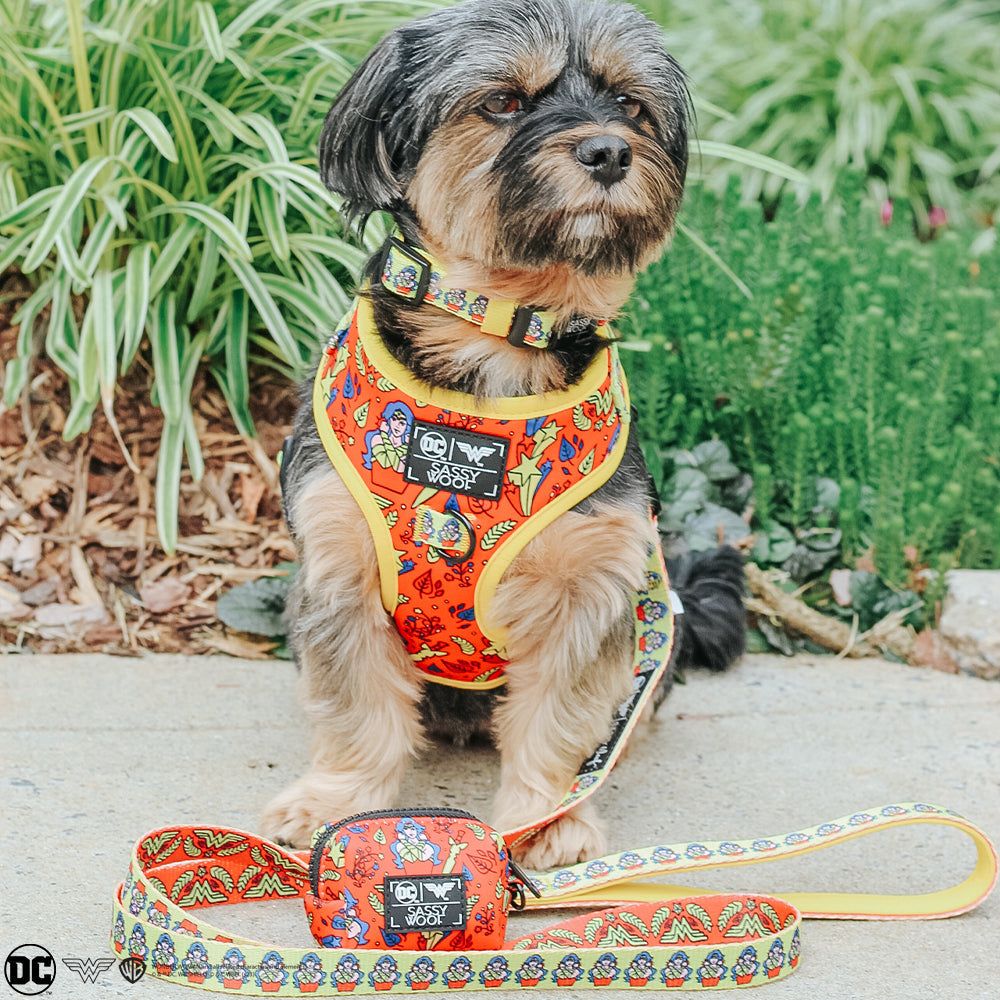 Dog Waste Bag Holder - Wonder Woman™