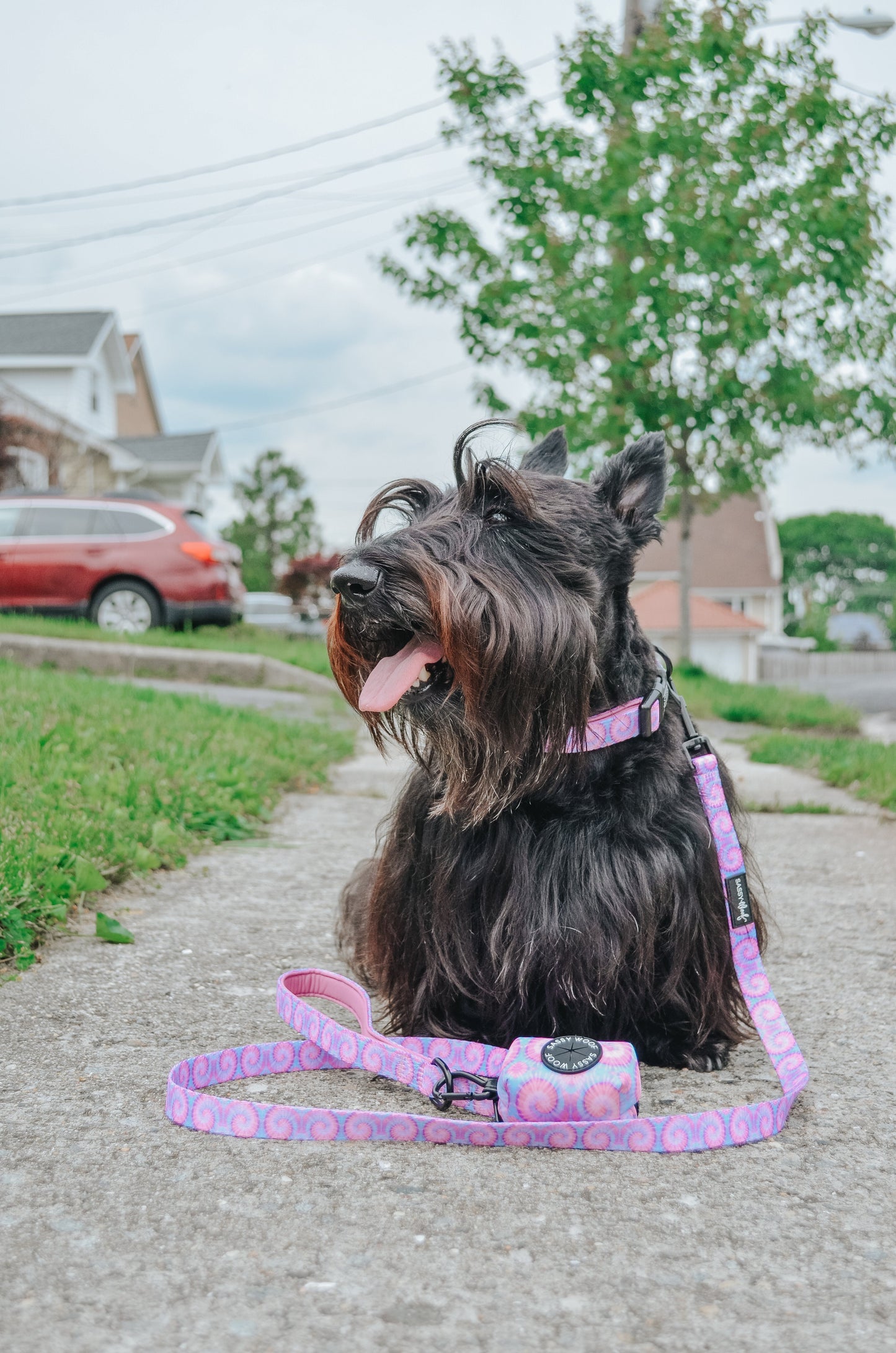 Dog Three Piece Bundle - Purple Haze