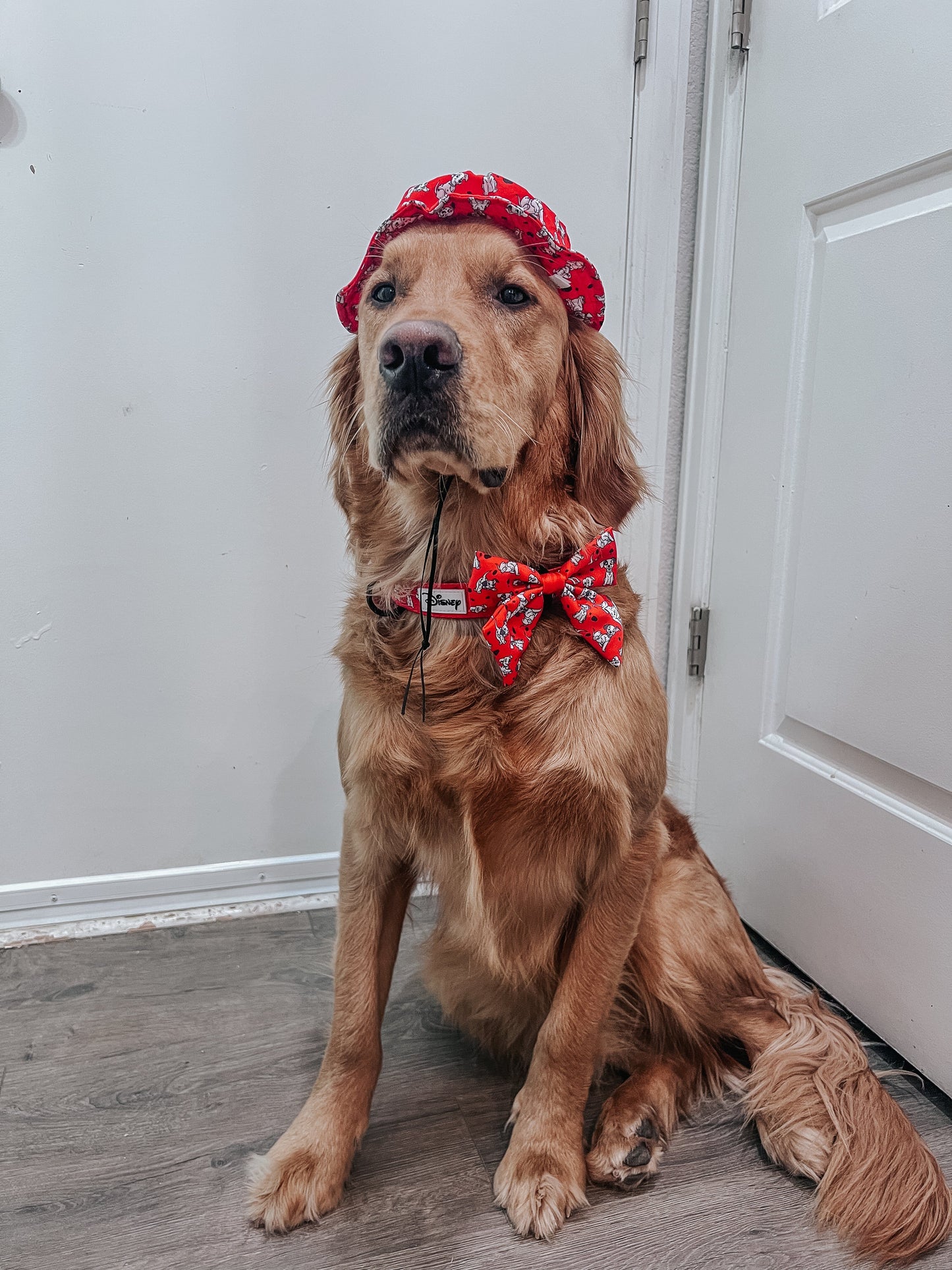 Dog Sailor Bow - Disney's 101 Dalmatians