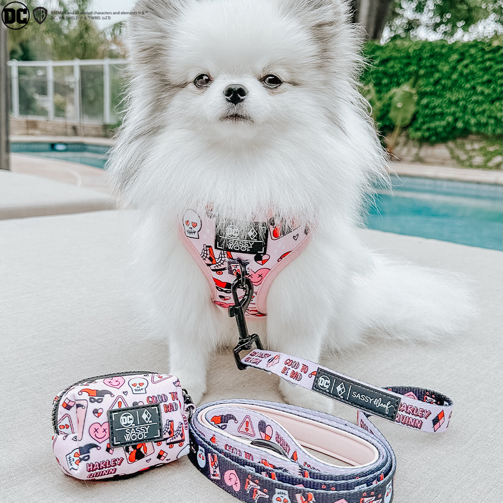Dog Waste Bag Holder - Harley Quinn™