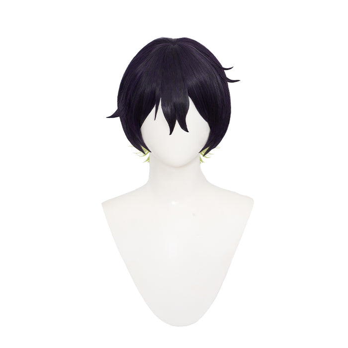 【Ready For Ship】DokiDoki Anime Cosplay Wig Short Deep Purple Green Hair
