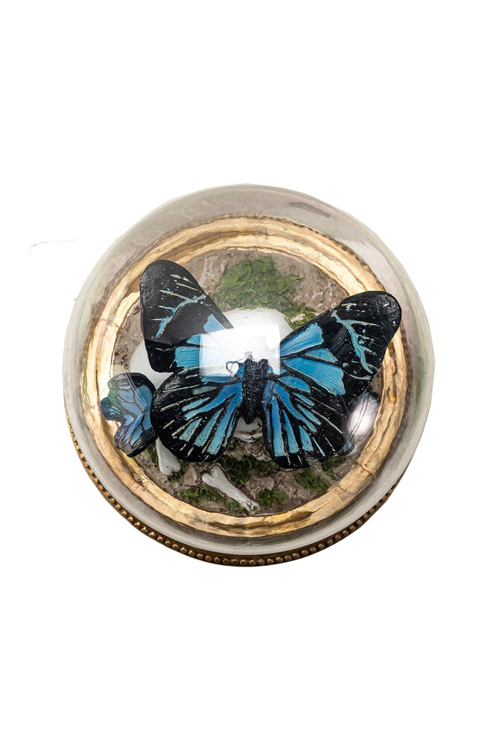 Butterfly Skull Cloche