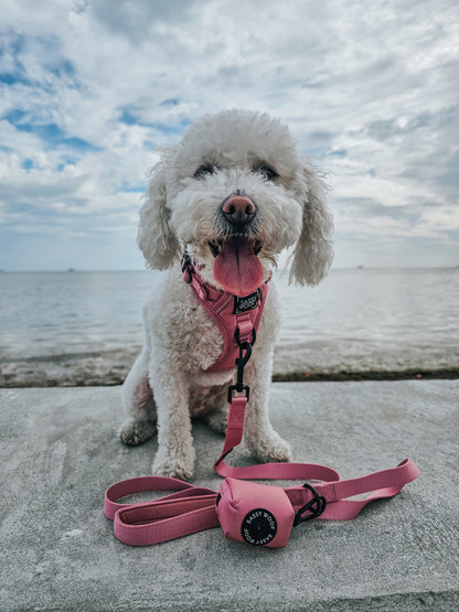 Dog Two Piece Bundle - Dusty Rose