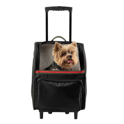Petote - Rio Traveler Black with Stripe