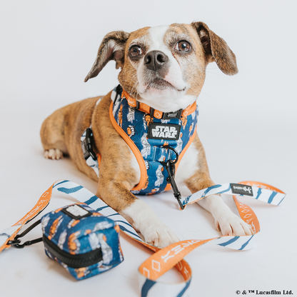 Dog Two Piece Bundle - STAR WARS™ Ahsoka