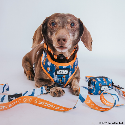 Dog Leash - STAR WARS™ Ahsoka