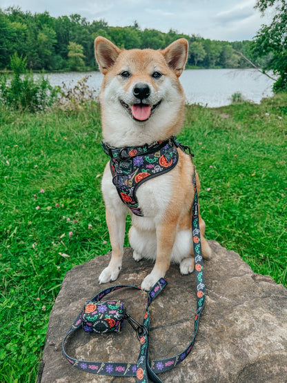Dog Adjustable Harness - Neon Frights