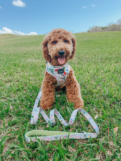 Dog Two Piece Bundle - Beach Please