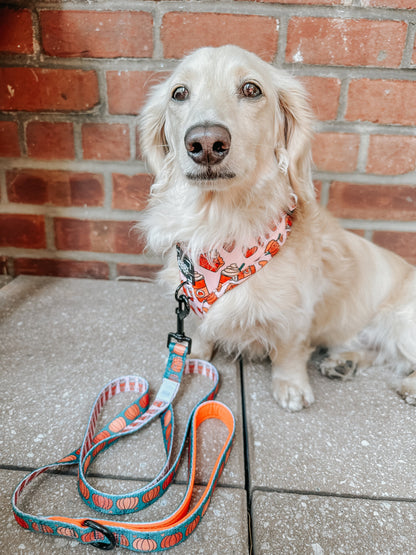 Dog Two Piece Bundle -  Pie There