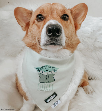 Dog Bandana - STAR WARS™ The Child™