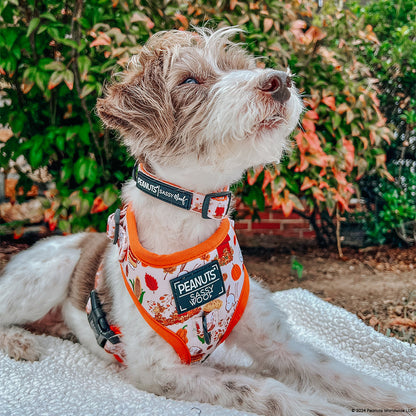 Dog Adjustable Harness - Peanuts™ Harvest