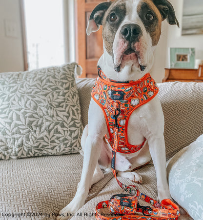 Dog Two Piece Bundle -  Garfield™