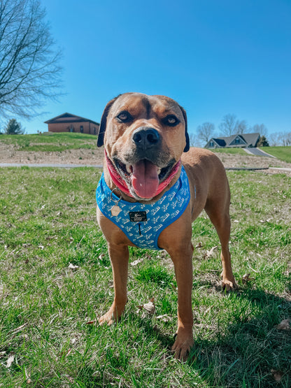 Dog Adjustable Harness - KEN™