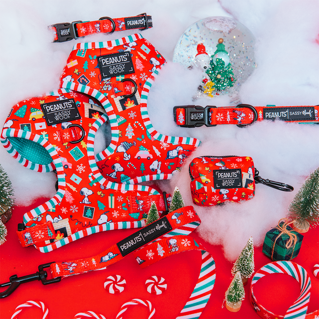 Dog Four Piece Bundle - Peanuts™ Beagle Bells
