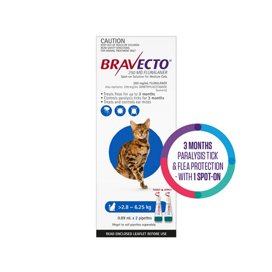 Bravecto - Spot On For Medium Cats (2.8 - 6.25 kg) Blue
