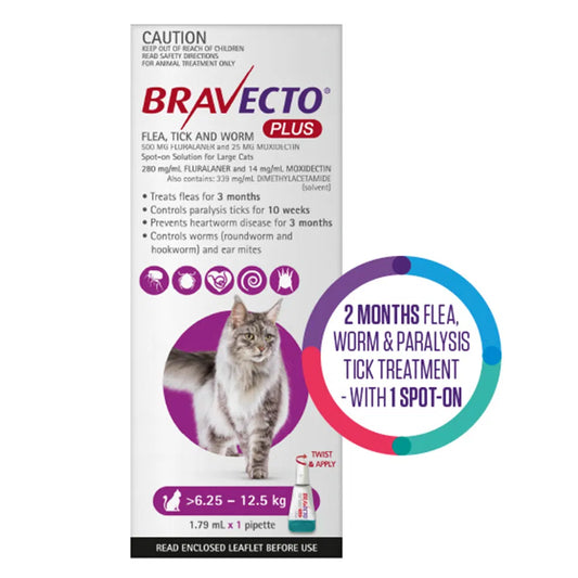 Bravecto - Plus for Large Cats 6.25 – 12.5 kg (Purple)
