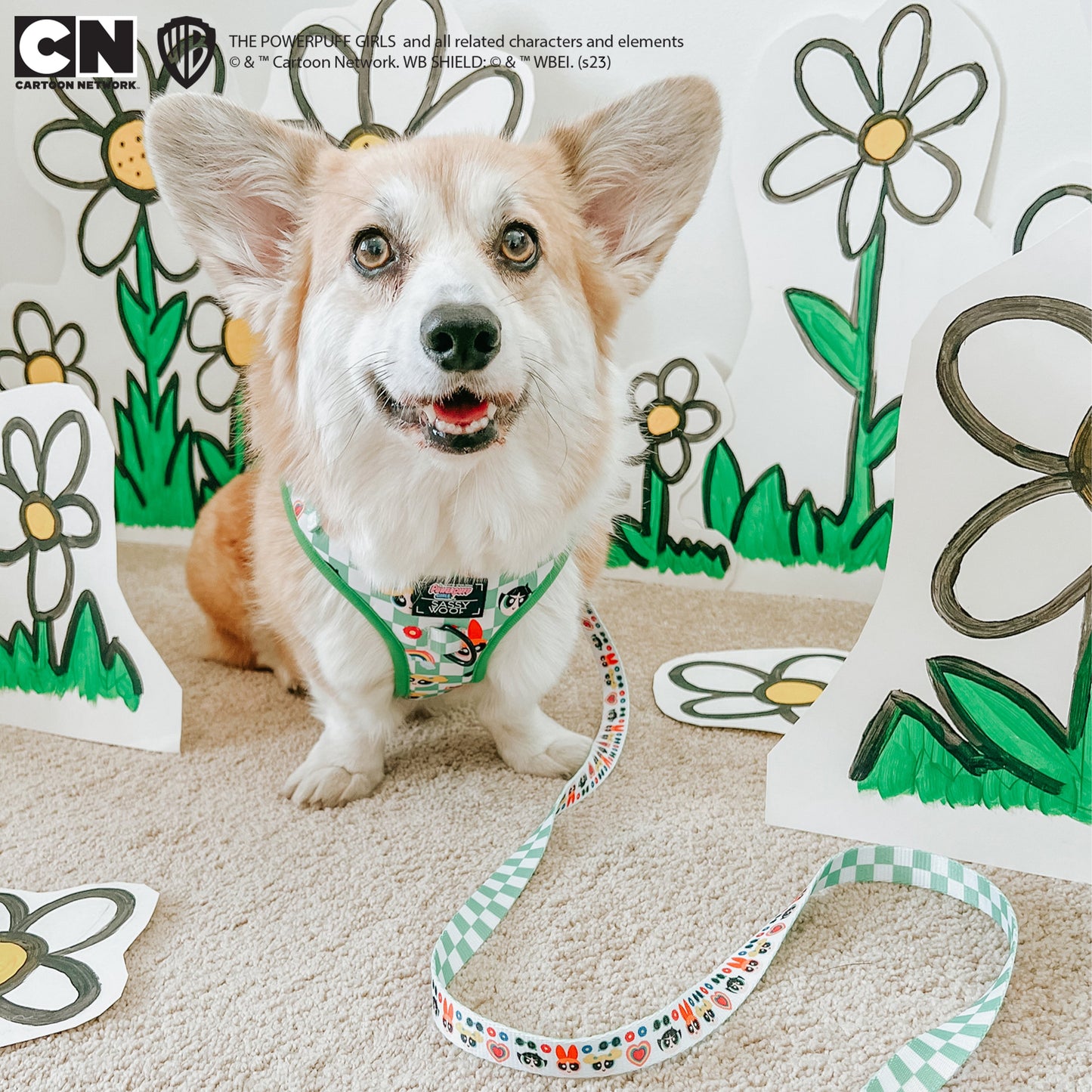 Dog Four Piece Bundle - The Powerpuff Girls™ (Green)