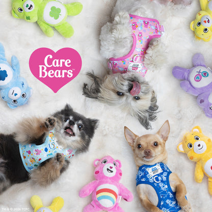 Dog Four Piece Bundle - Care Bears™ Grumpy Bear