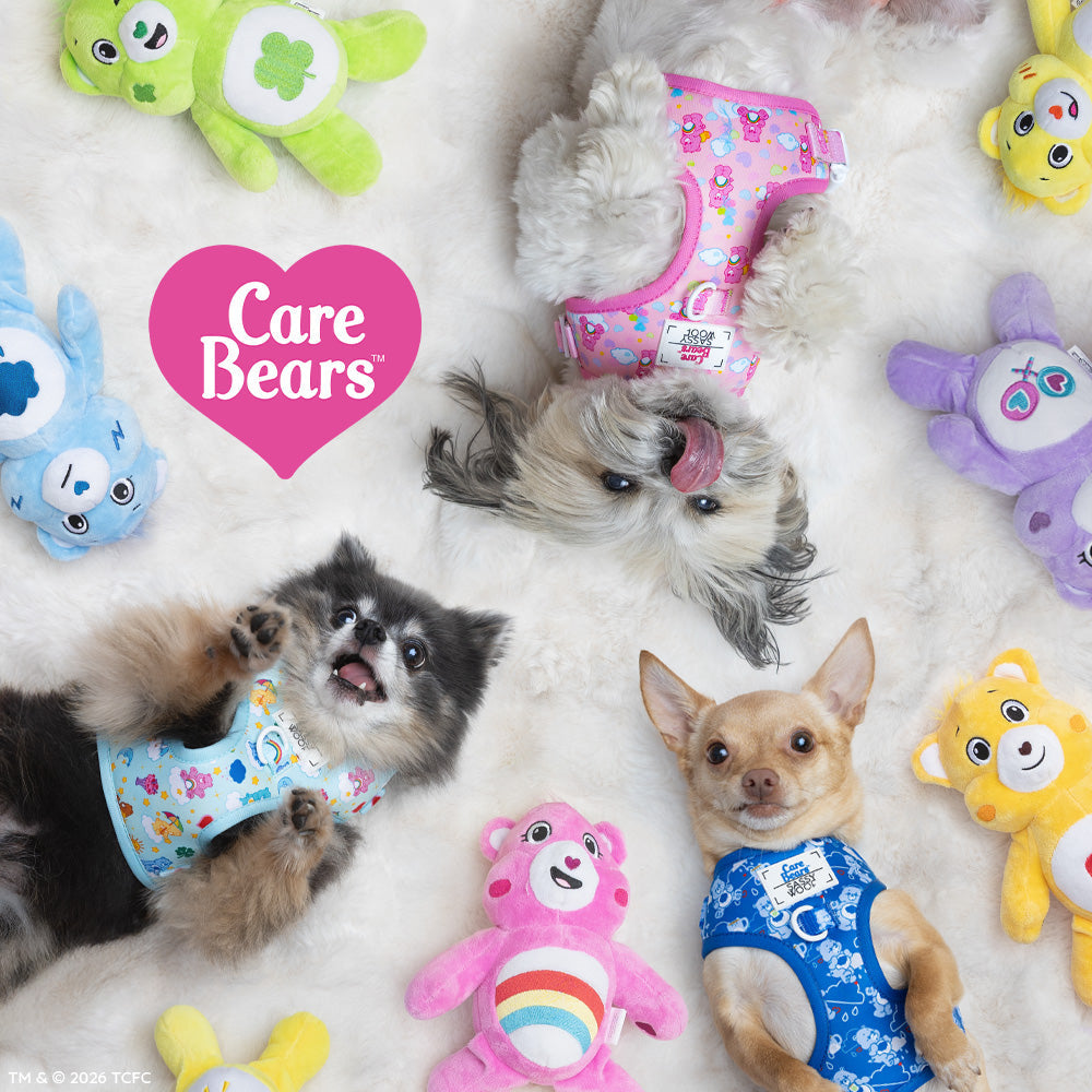 Dog Four Piece Bundle - Care Bears™ Cheer Bear