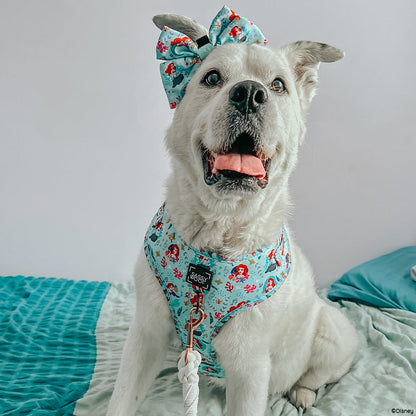 Dog Sailor Bow - Disney's Ariel
