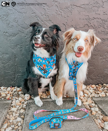 Dog Bandana - The Powerpuff Girls™ (Blue)