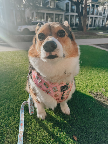 Dog Adjustable Harness - Out of Office