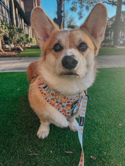 Dog Two Piece Bundle - Good Duck, Babe!