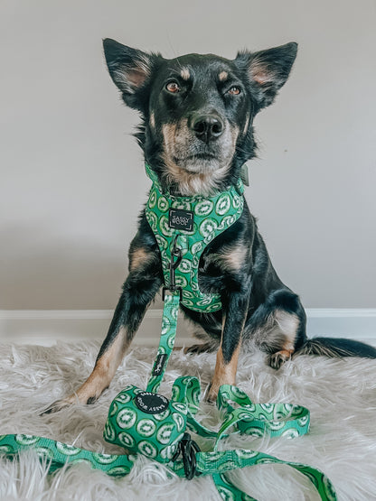Dog Two Piece Bundle -  Kiwi Krazy