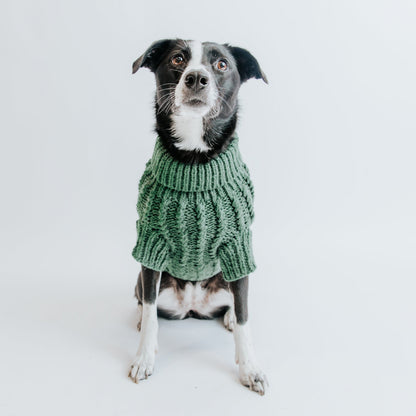 Pet Cable Knit Sweater - Dark Green