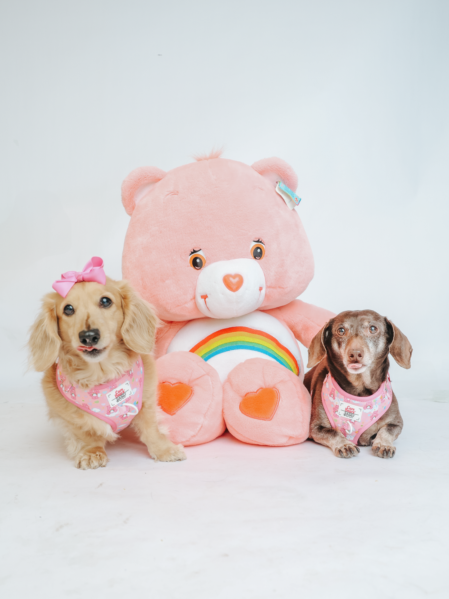 Dog Four Piece Bundle - Care Bears™ Cheer Bear