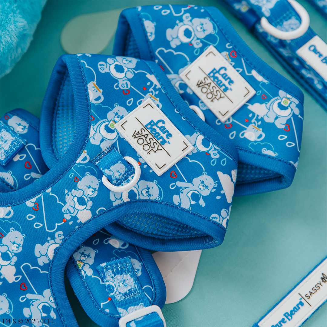 Dog Two Piece Bundle - Care Bears™ Grumpy Bear