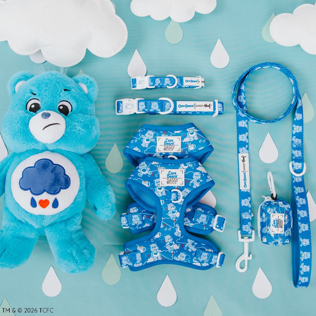 Dog Four Piece Bundle - Care Bears™ Grumpy Bear