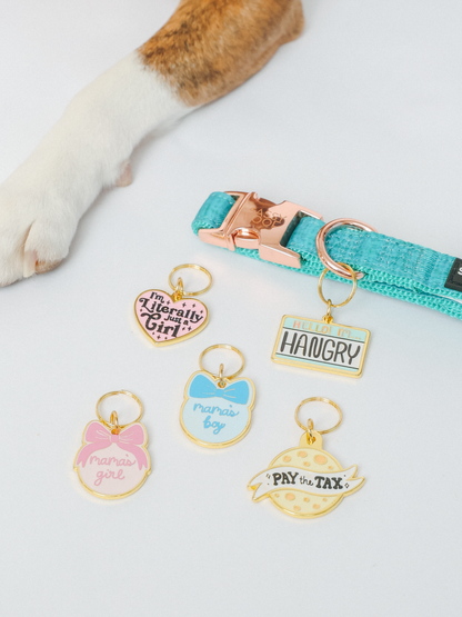 Collar Tag - Hello I'm Hangry