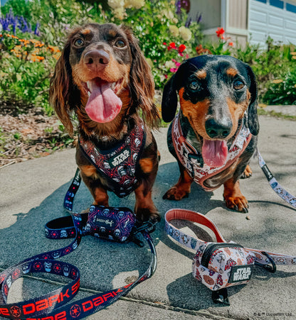 Dog Leash - STAR WARS™ The Dark Side
