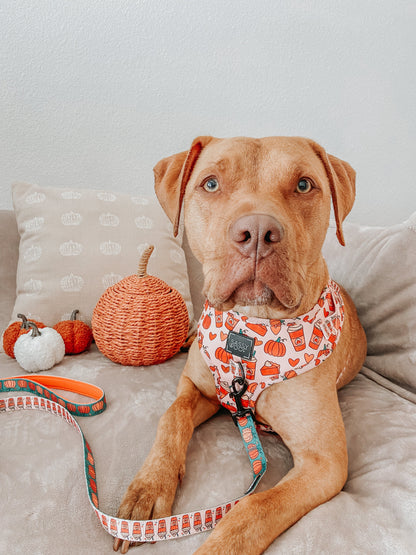Dog Two Piece Bundle -  Pie There