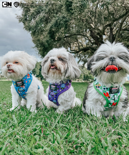 Dog Adjustable Harness - Mojo Jojo™