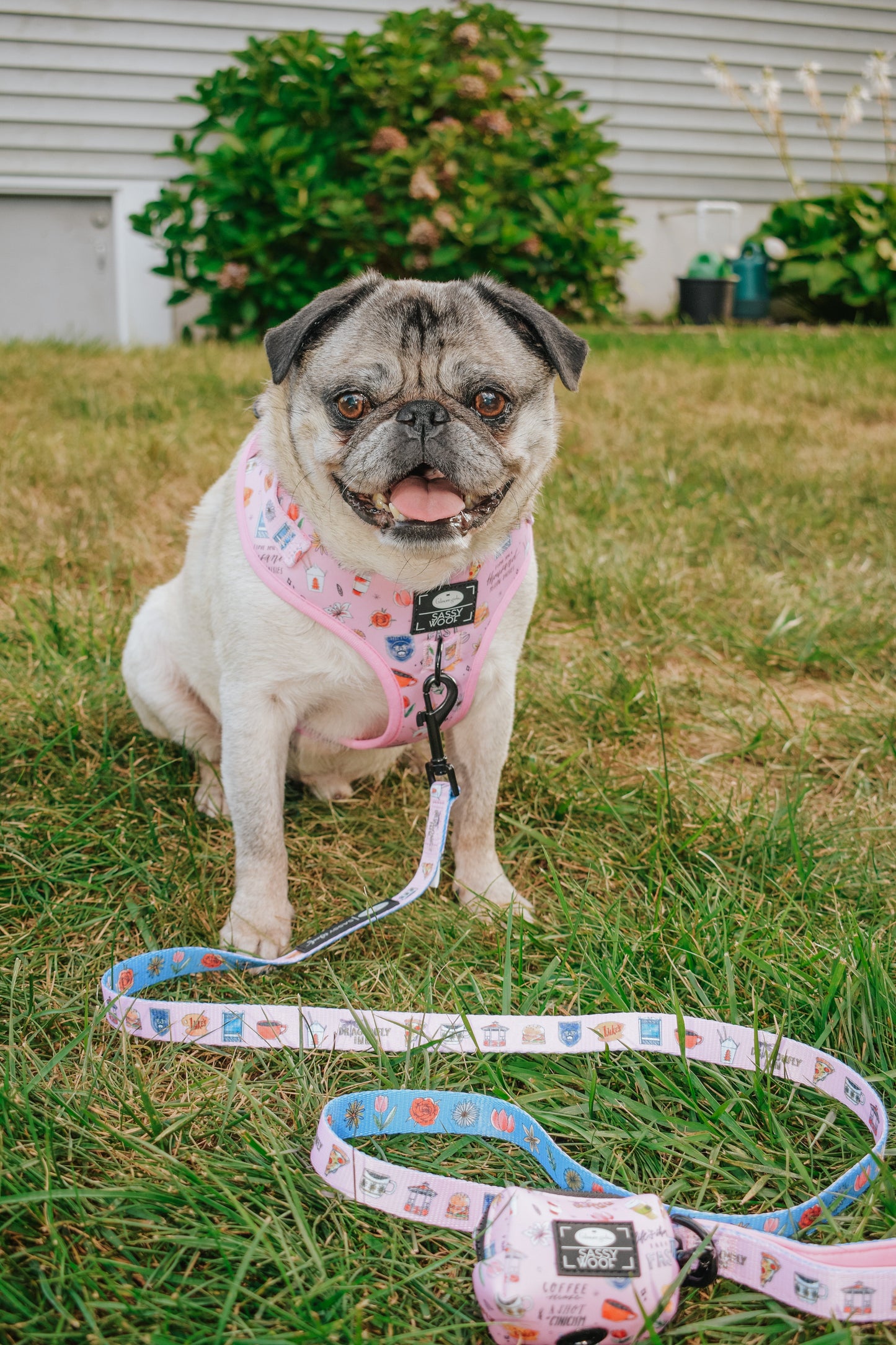 Dog Two Piece Bundle - Gilmore Girls™