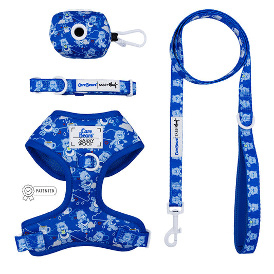 Dog Four Piece Bundle - Care Bears™ Grumpy Bear