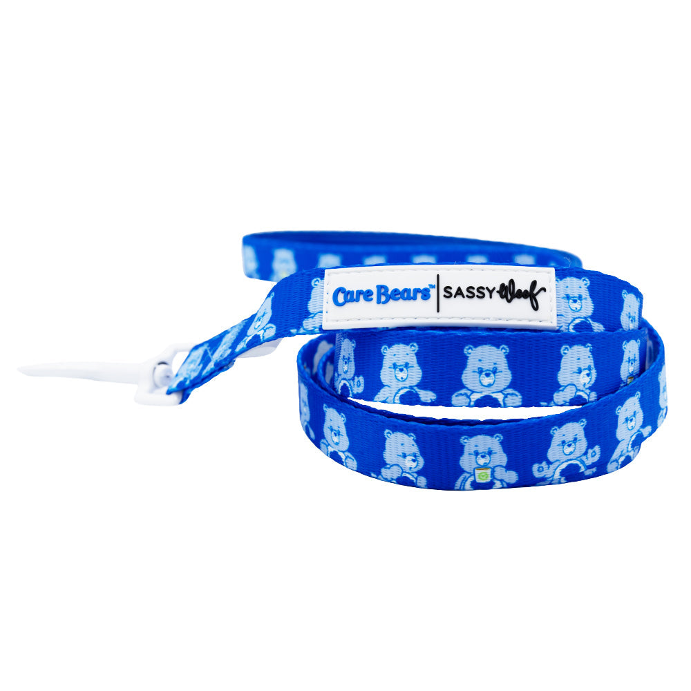 Dog Four Piece Bundle - Care Bears™ Grumpy Bear